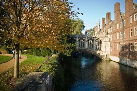 Quaint 2 Bed Cottage In The Heart Of Cambridge 외부 사진